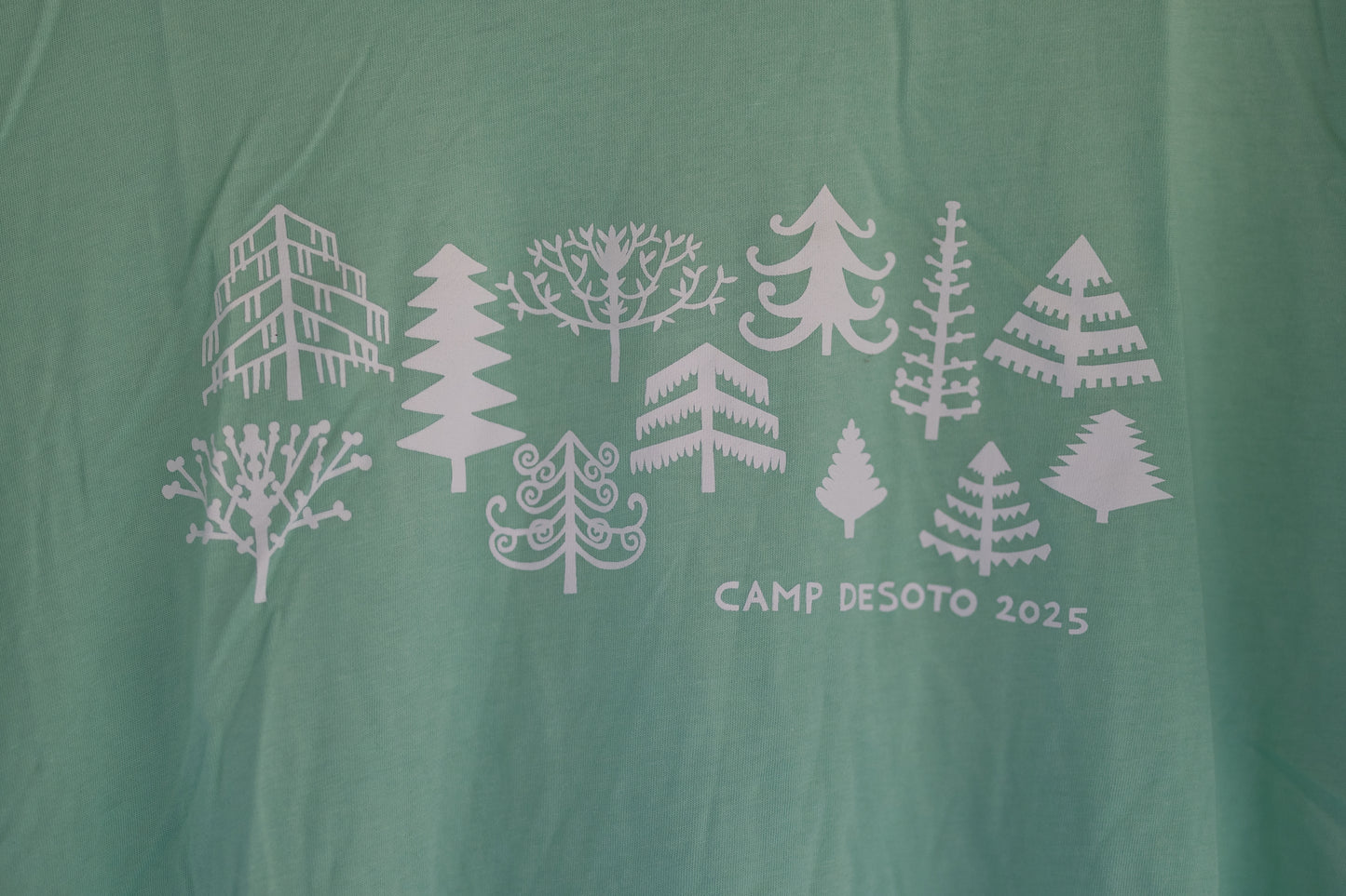 VAULT – 2025 Early Bird Tee