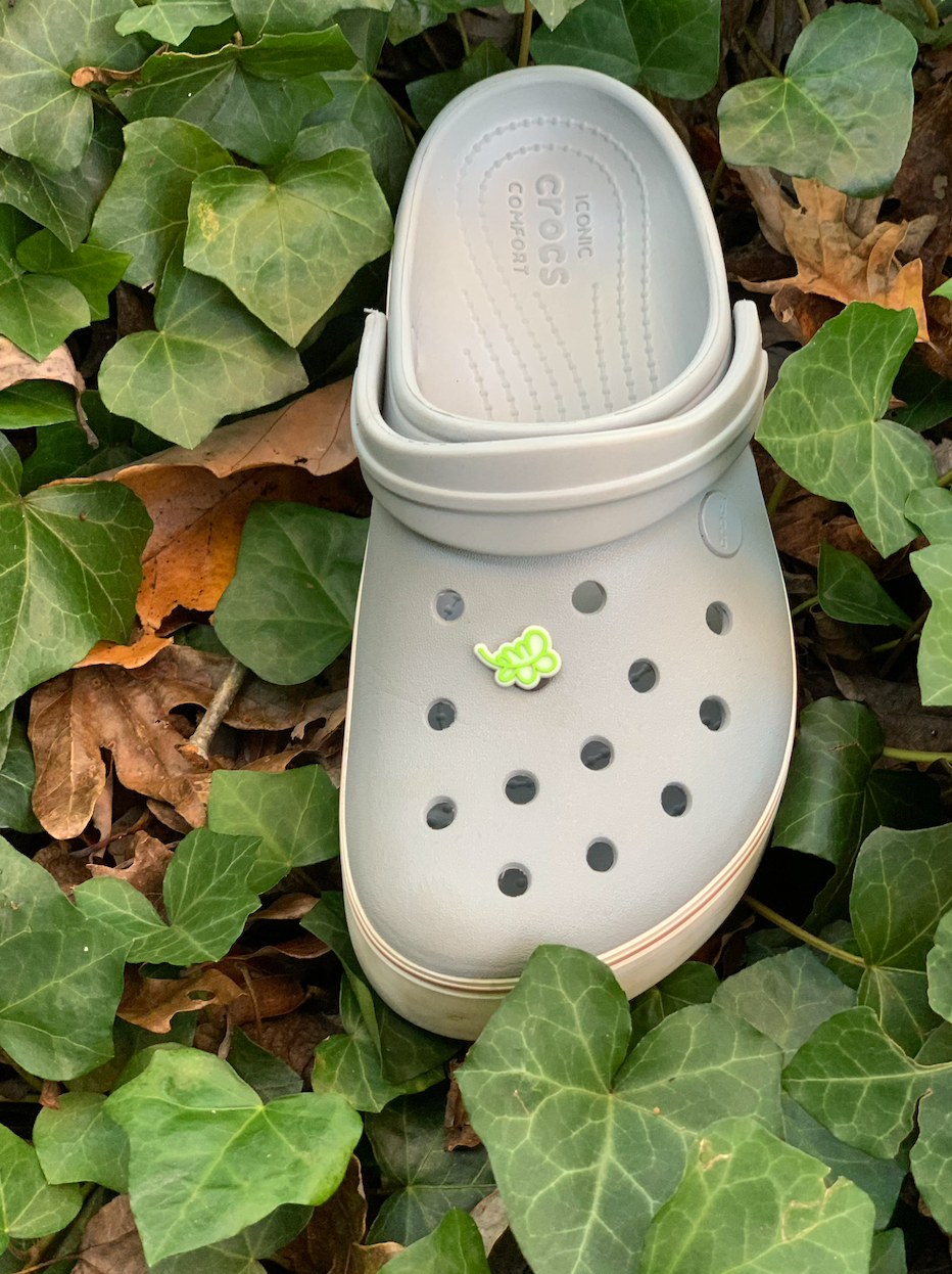 Croc pins top