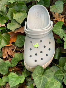 Croc Jibbitz